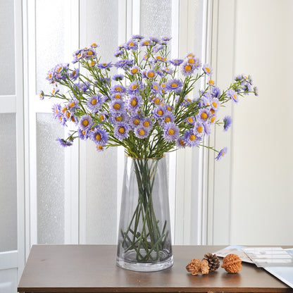 Aster, small daisy, 13heads, yellow core, regular texture, 736206