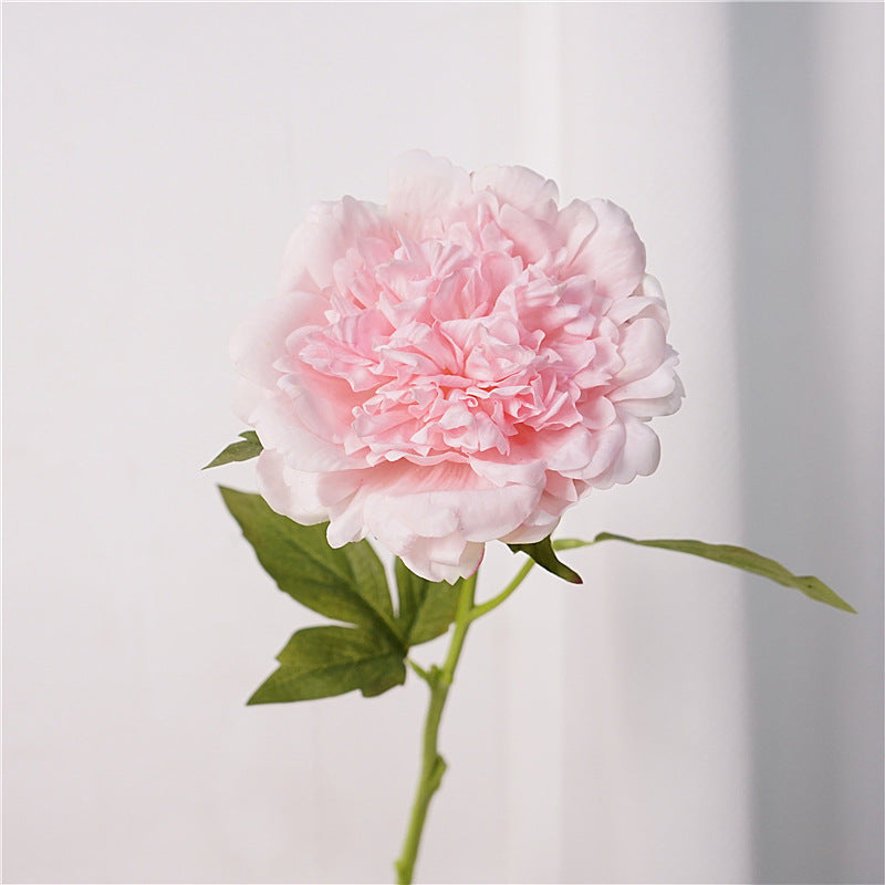 Peony, high quality, real texture artificial flower, 519785