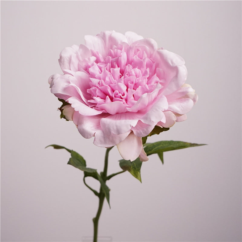 Peony, high quality, real texture artificial flower, 519785