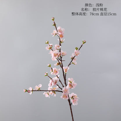 Cherry blossom, with buds, special texture, 23080601