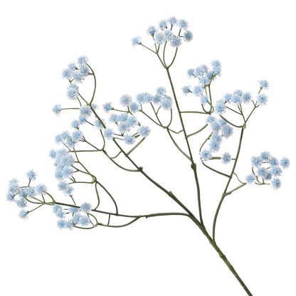 Baby's breath, regular texture, 21043004