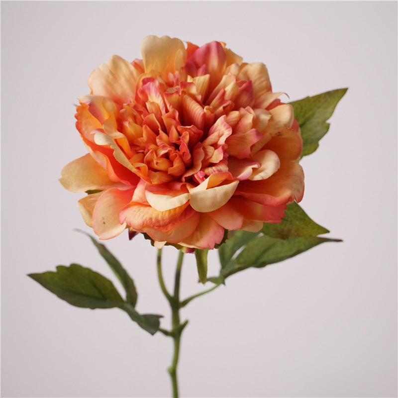 Peony, high quality, real texture artificial flower, 519785