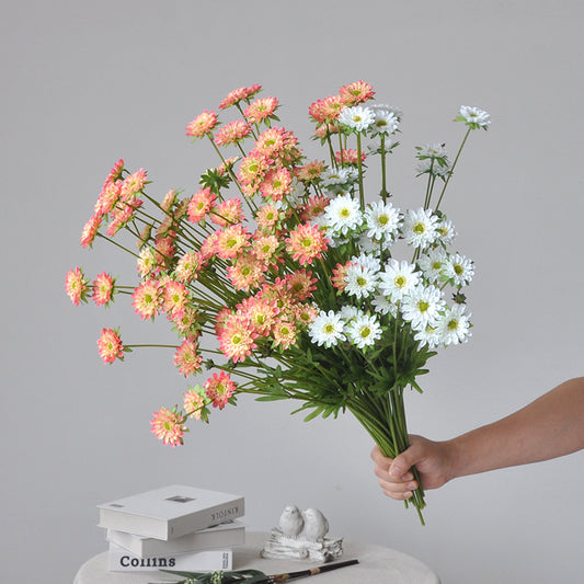 Aster, small daisy, all color, regular texture, 736205