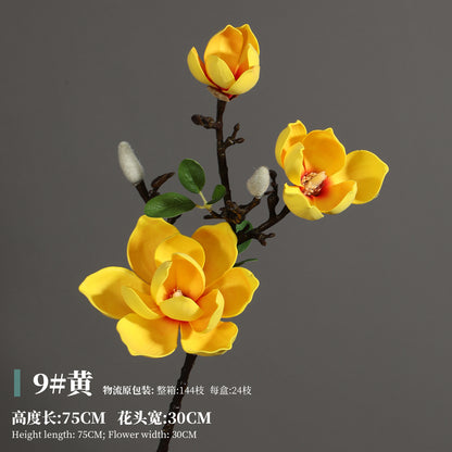 Magnolia, Chinese lily, special texture, 21061601