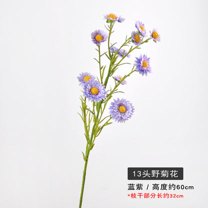 Aster, small daisy, 13heads, yellow core, regular texture, 736206