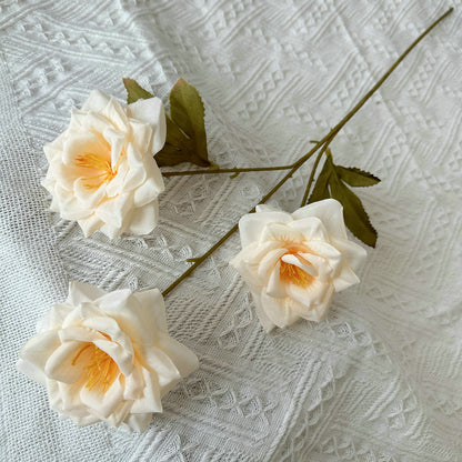 Rose, 3 head, regular texture, 21848713714