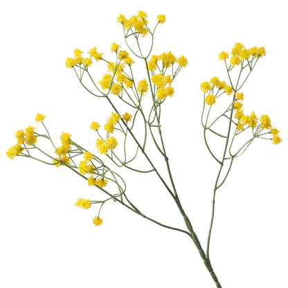 Baby's breath, regular texture, 21043004