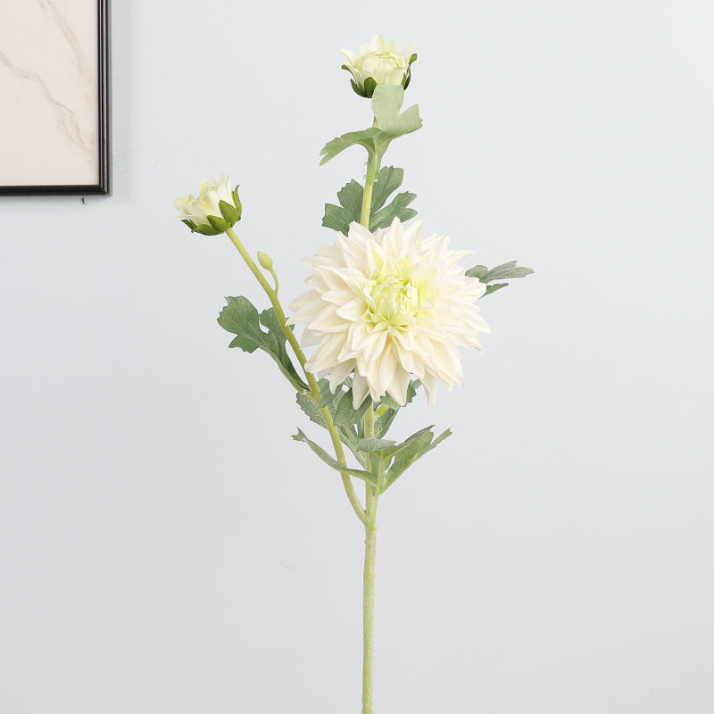 Dahlia, 3 heads, special texture, 55046