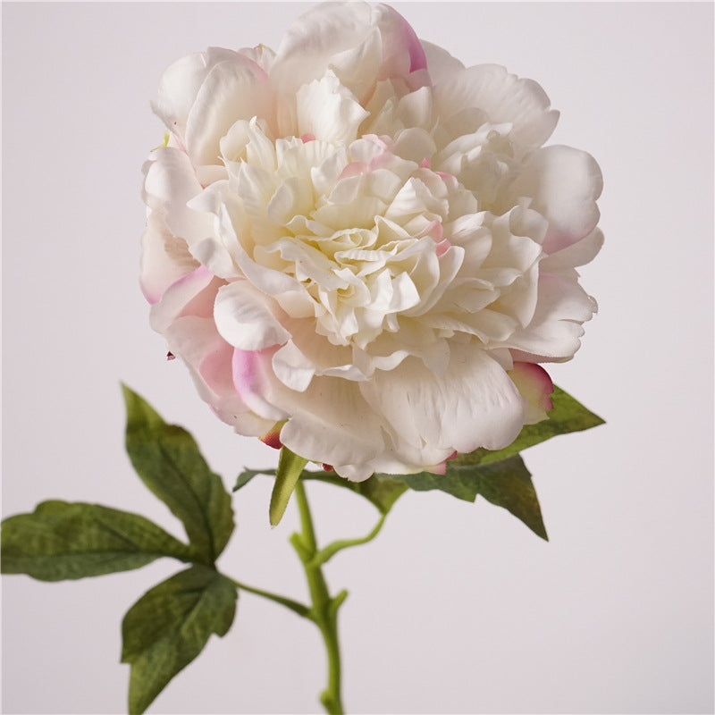 Peony, high quality, real texture artificial flower, 519785