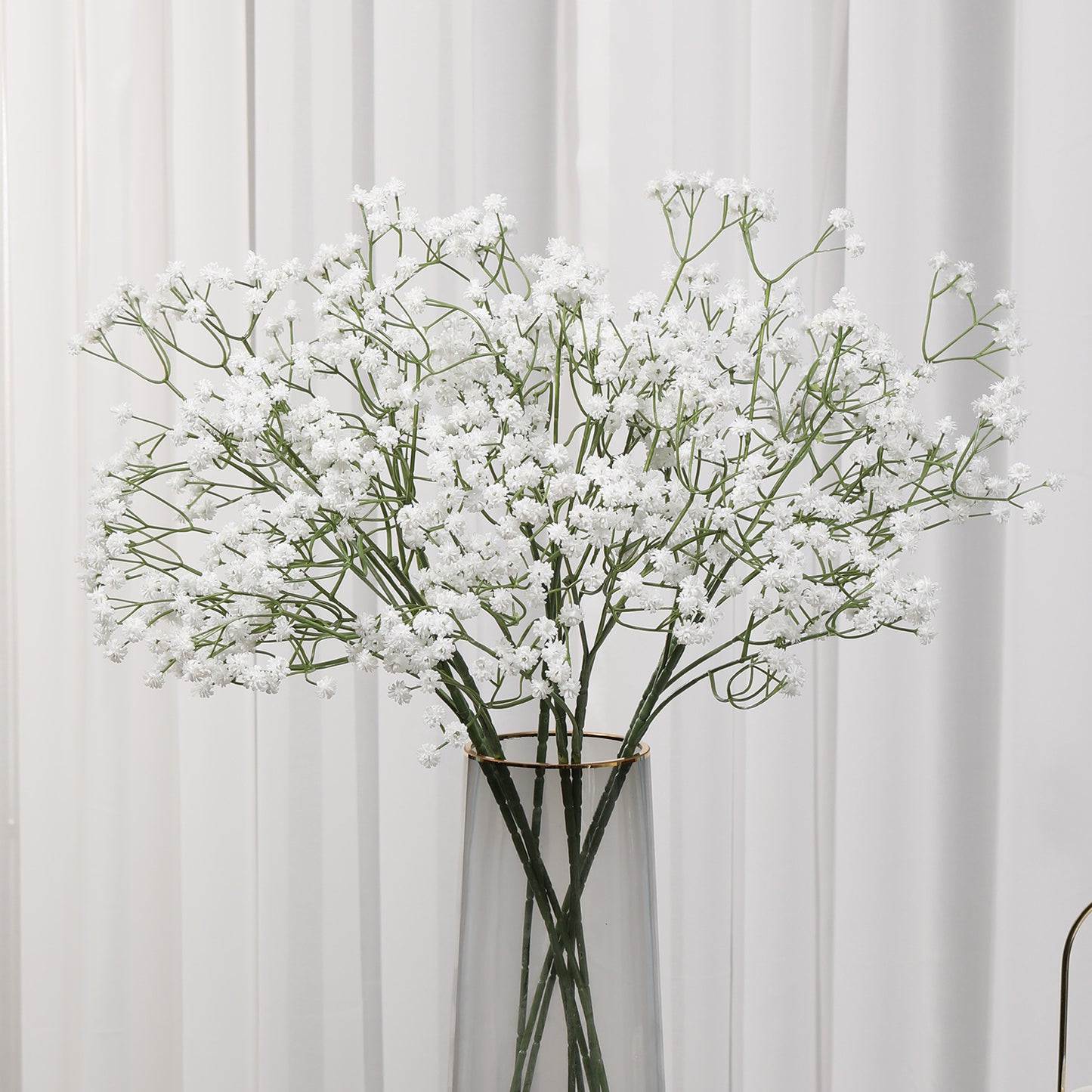 Baby's breath, regular texture, 21043004