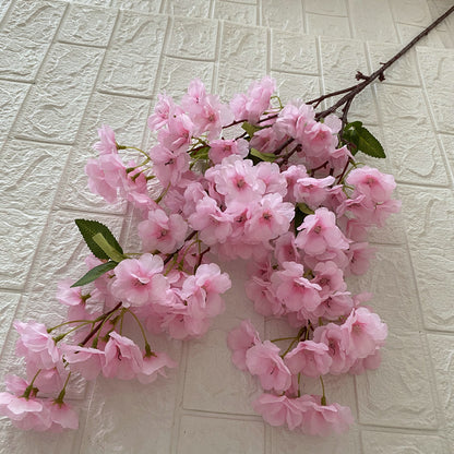 Cherry blossom, countryside style, regular texture, 21791616321