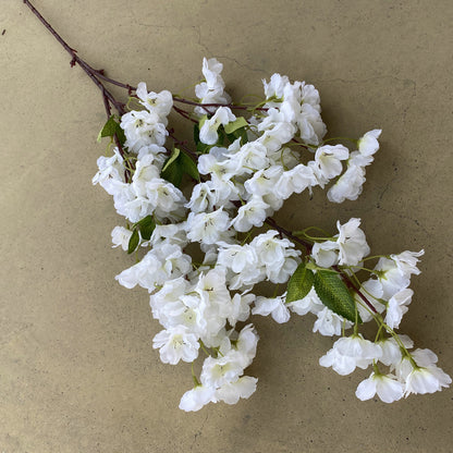 Cherry blossom, countryside style, regular texture, 21791616321