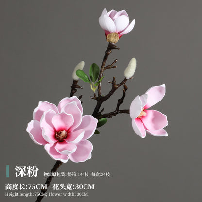 Magnolia, Chinese lily, special texture, 21061601