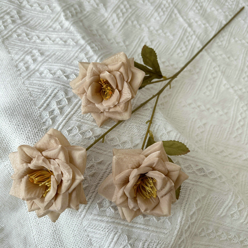 Rose, 3 head, regular texture, 21848713714