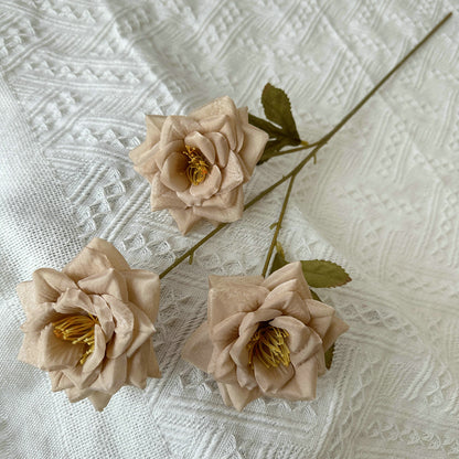 Rose, 3 head, regular texture, 21848713714