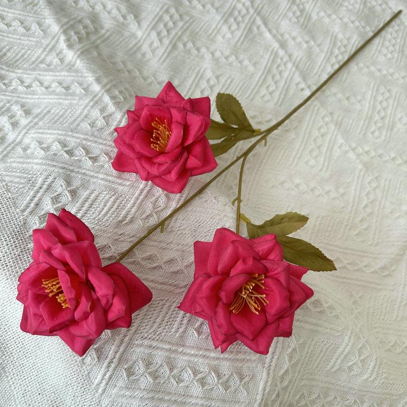 Rose, 3 head, regular texture, 21848713714