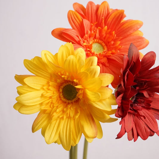 Daisy, large African daisy, real texture artificial flower, 519786