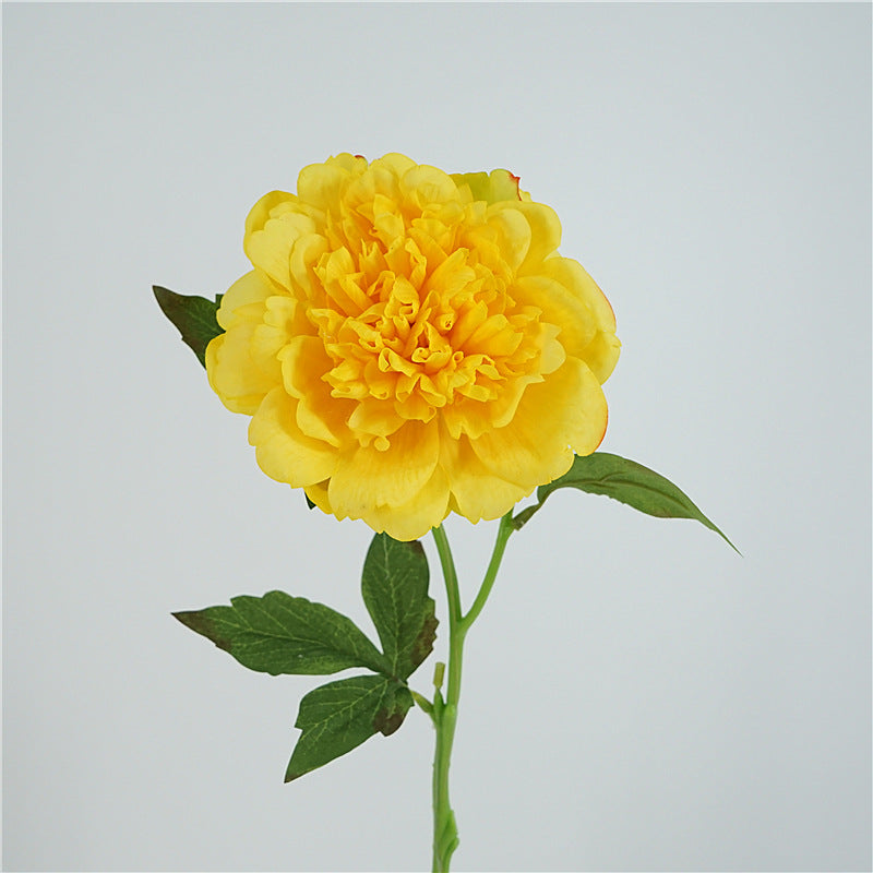 Peony, high quality, real texture artificial flower, 519785