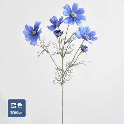 Daisy, garden cosmos, 6 heads, regular texture, 736204