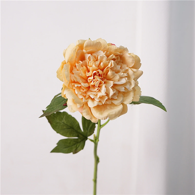 Peony, high quality, real texture artificial flower, 519785