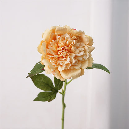 Peony, high quality, real texture artificial flower, 519785