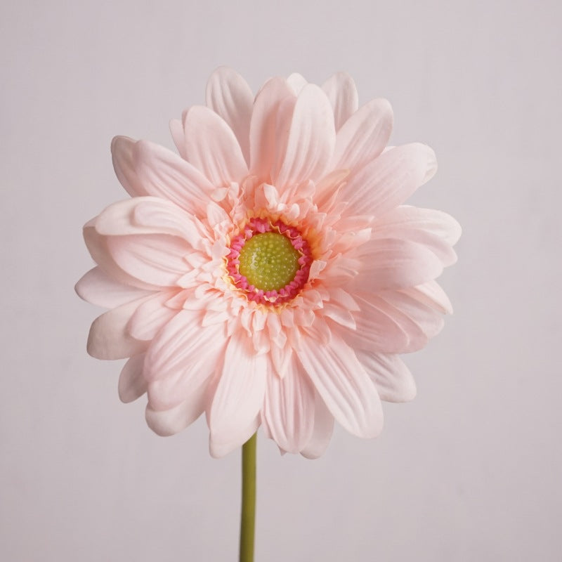 Daisy, large African daisy, real texture artificial flower, 519786