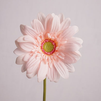Daisy, large African daisy, real texture artificial flower, 519786