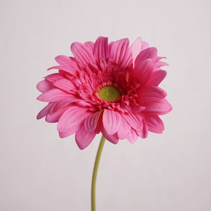 Daisy, large African daisy, real texture artificial flower, 519786
