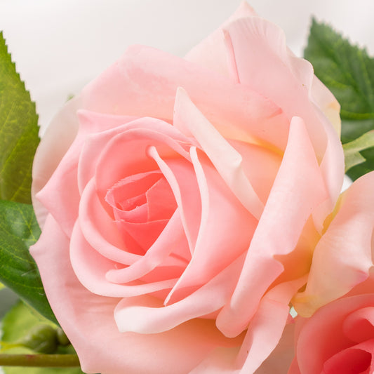 Rose, Dennis Rose, 1 head, MOQ 100 each color, real texture artificial flower, 3027R